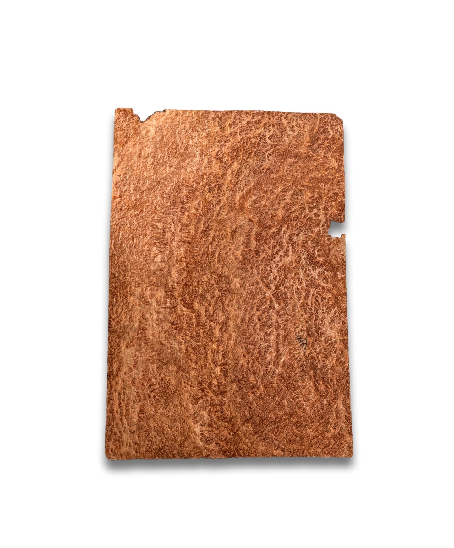 Placage de Loupe de Amboyna | 31x19 cm