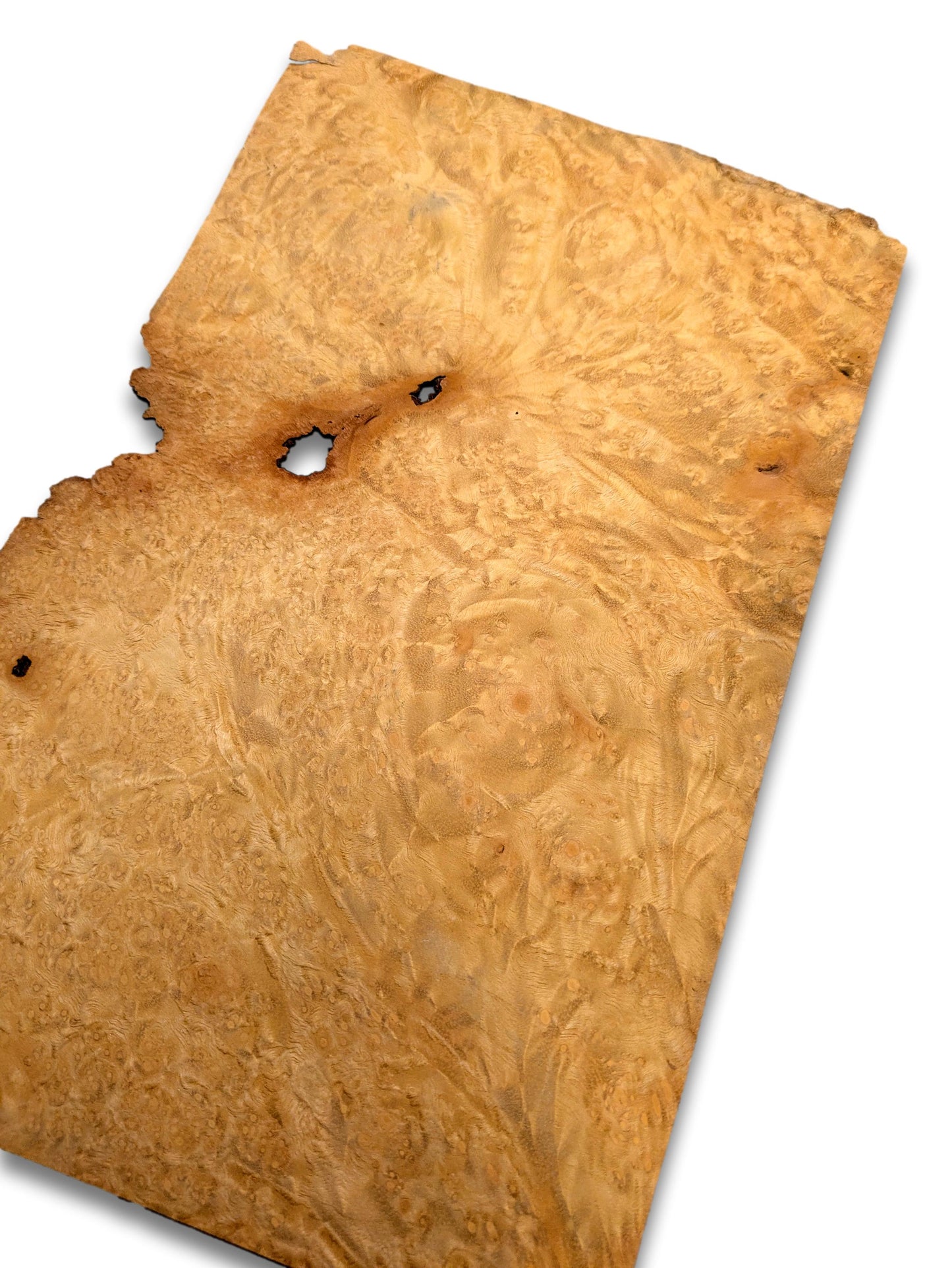 Madrona (goud) wortelfineer | 31x20 cm