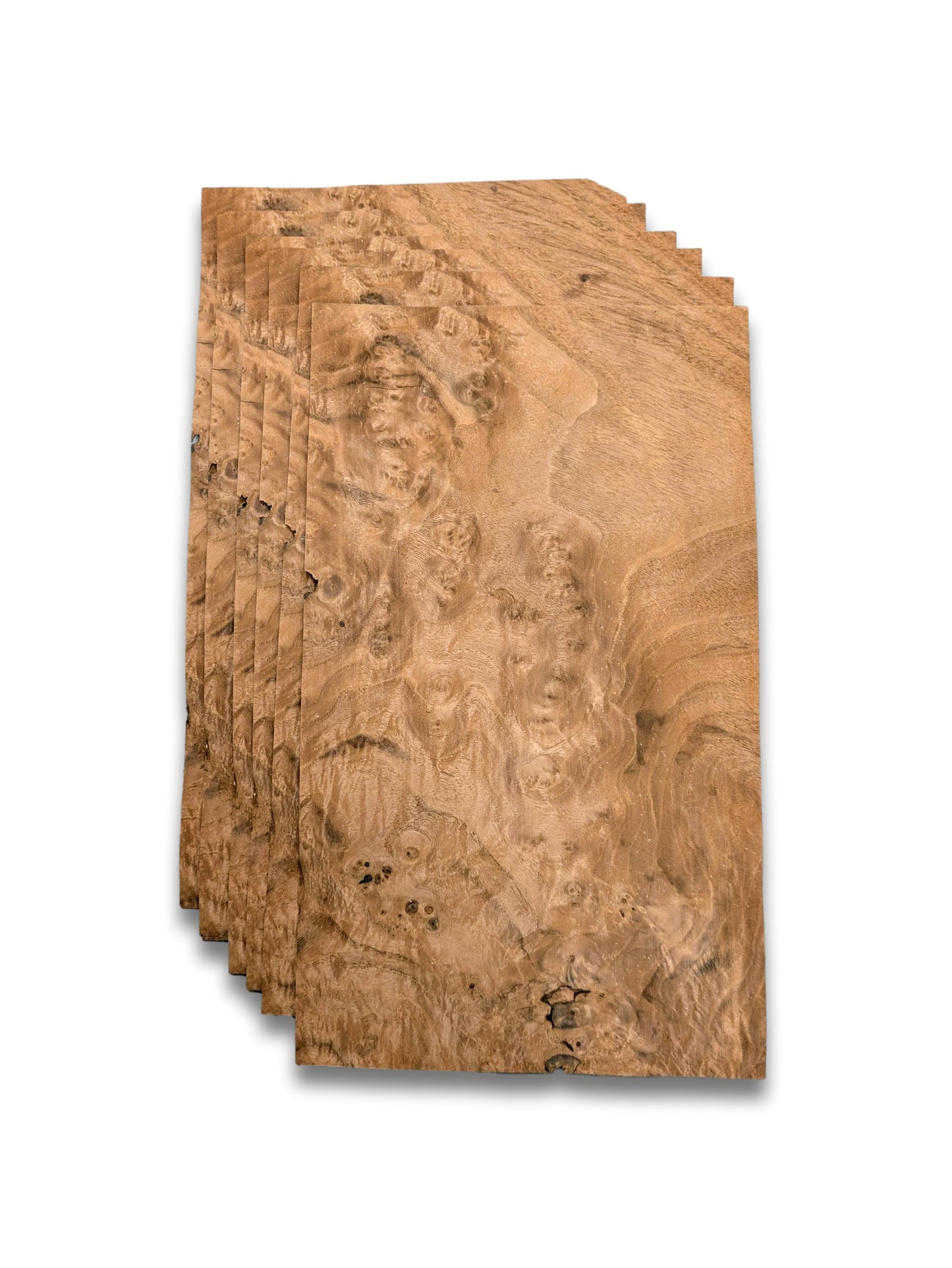 Walnoot wortelfineer | 6 vellen | 36x21 cm