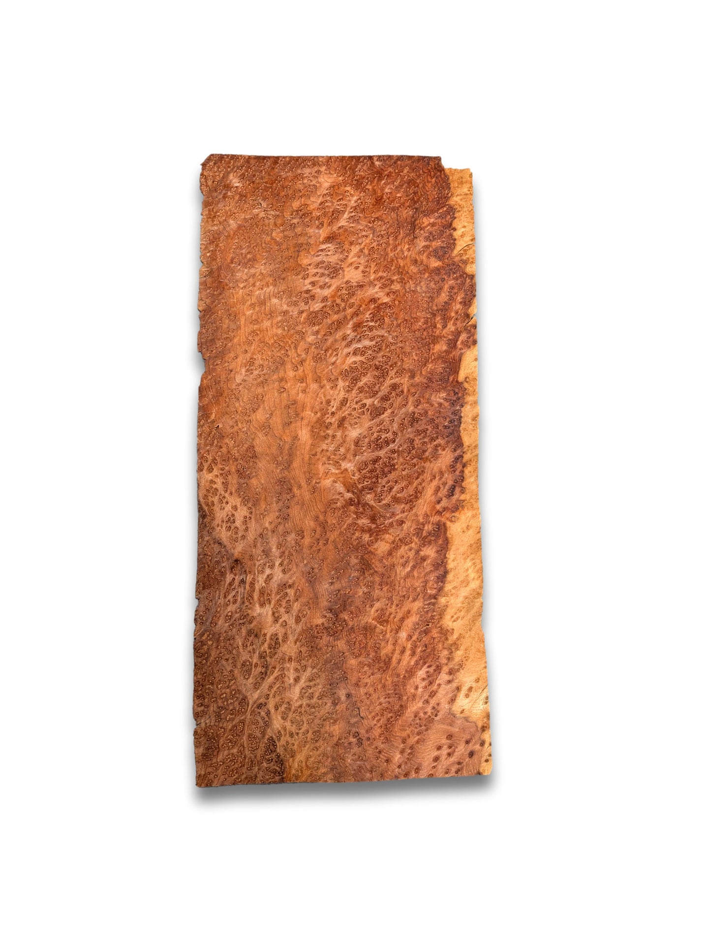 Placage de Loupe de Amboyna | 40x17 cm