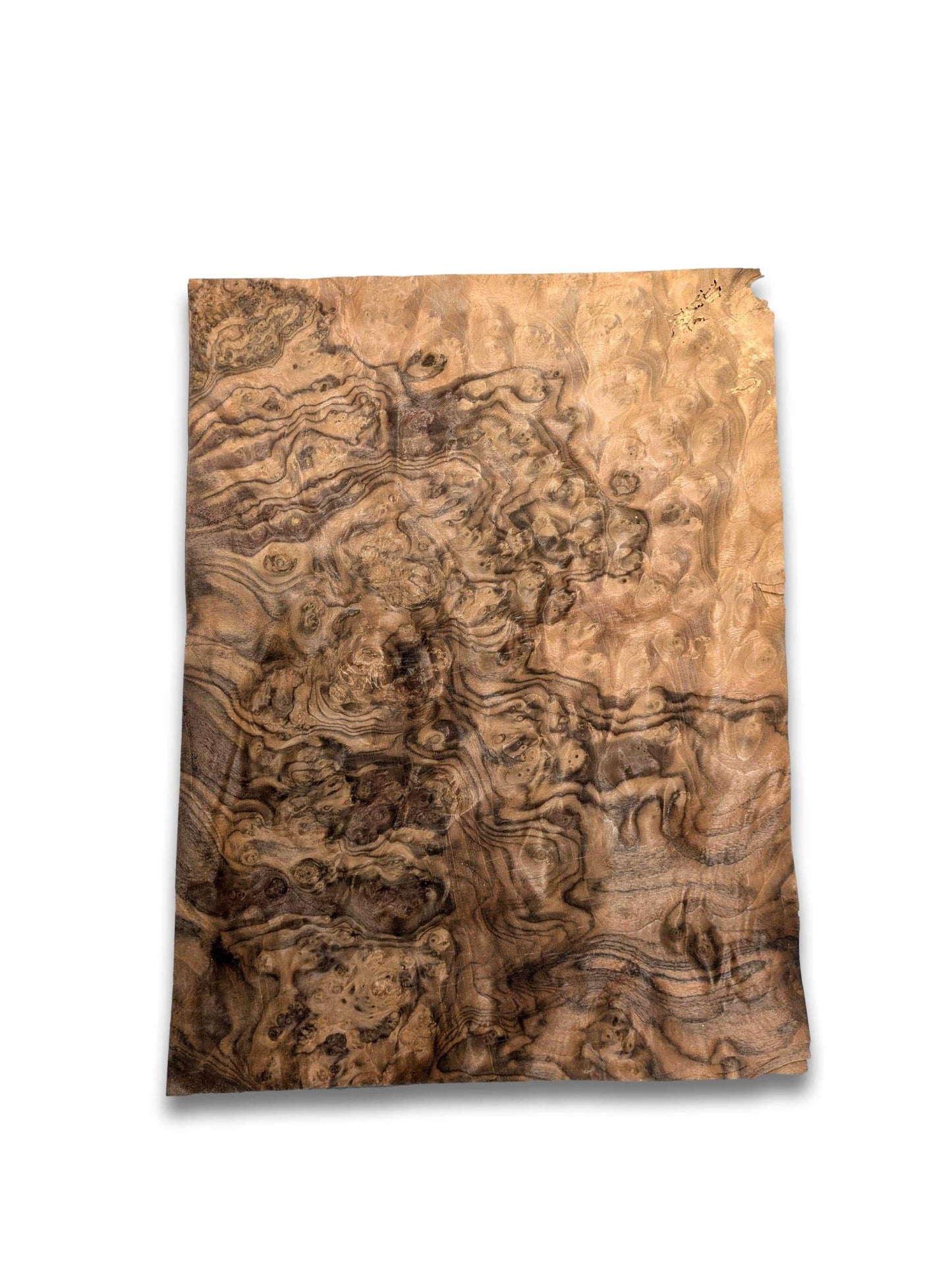 Onbehandeld walnoot wortel fineervel 45x33 cm met unieke houtstructuur, perfect voor creatieve houtbewerking of panelenbekleding.