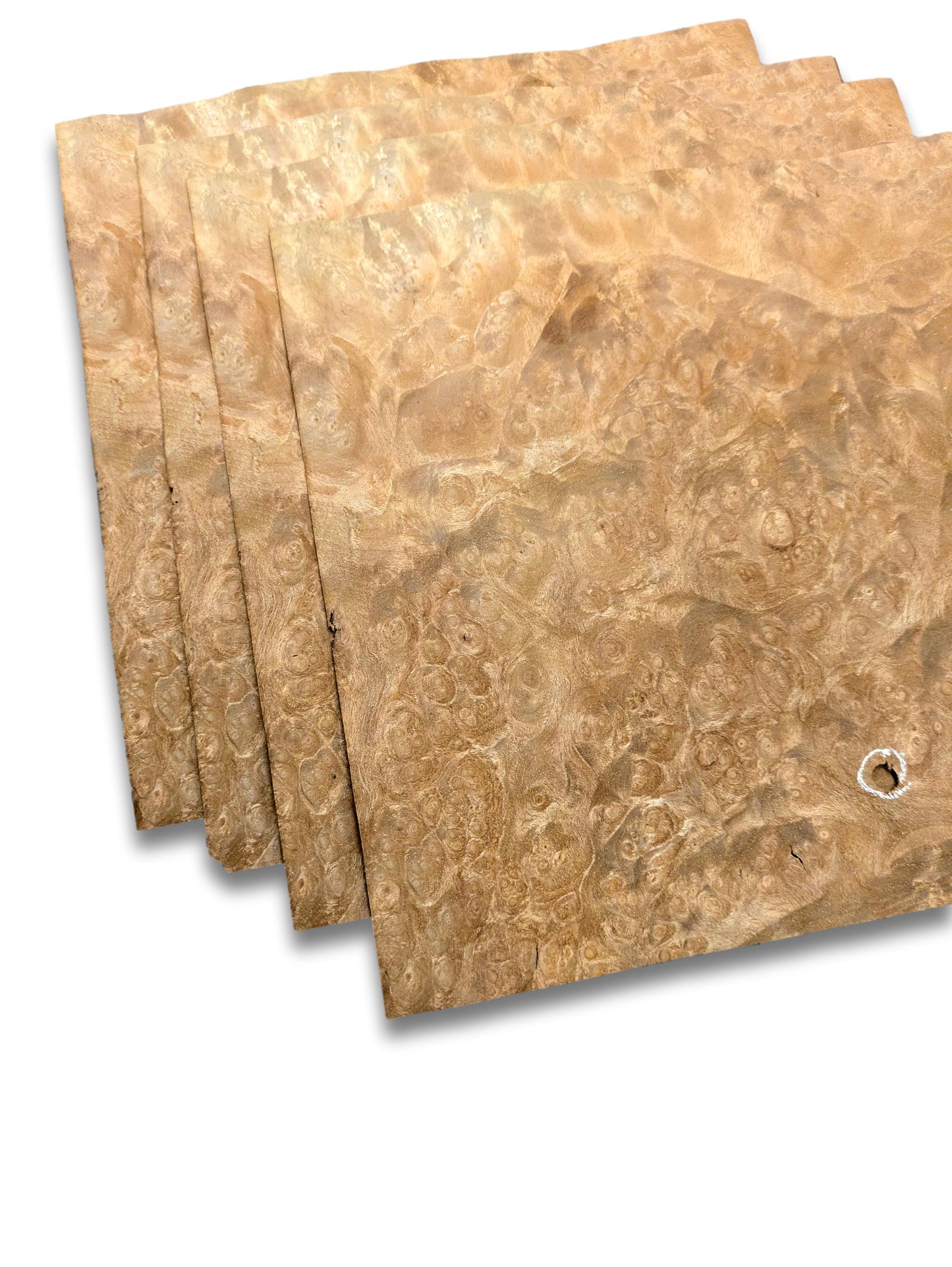 Madrona wortelfineer | 4 vellen | 22x22 cm