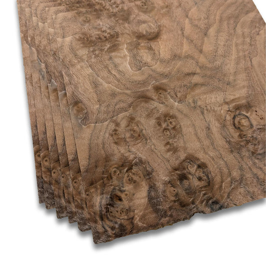 Walnoot wortelfineer | 6 vellen | 25x25 cm