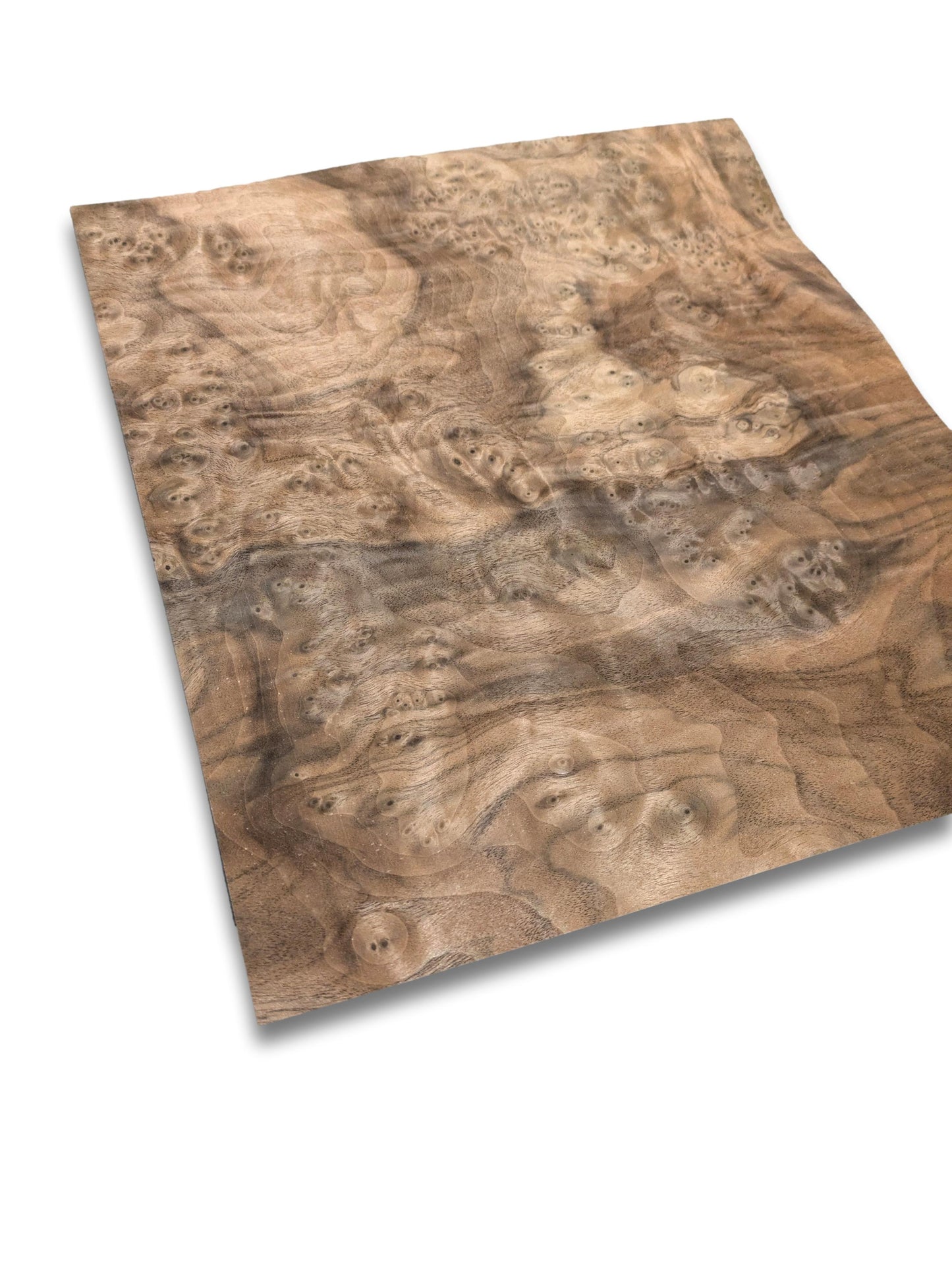 Walnoot wortelfineer | 29x30 cm