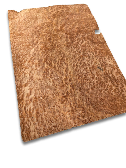 Placage de Loupe de Amboyna | 31x19 cm