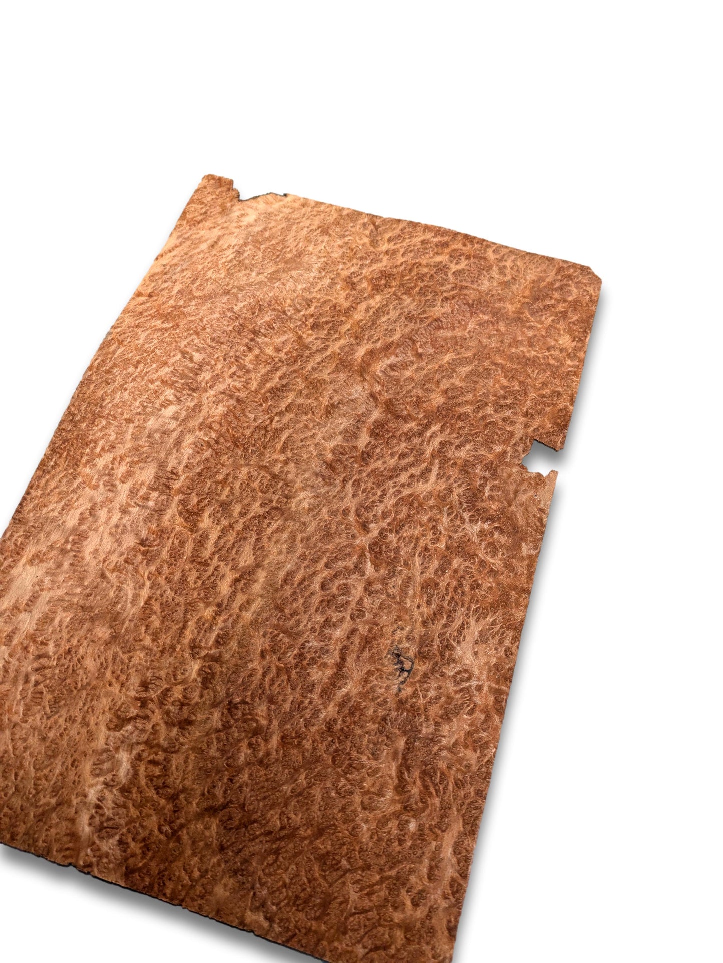 Amboyna wortelfineer | 31x19 cm