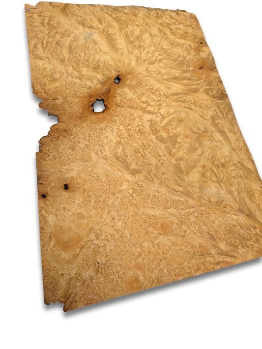 Madrona (goud) wortelfineer | 31x20 cm