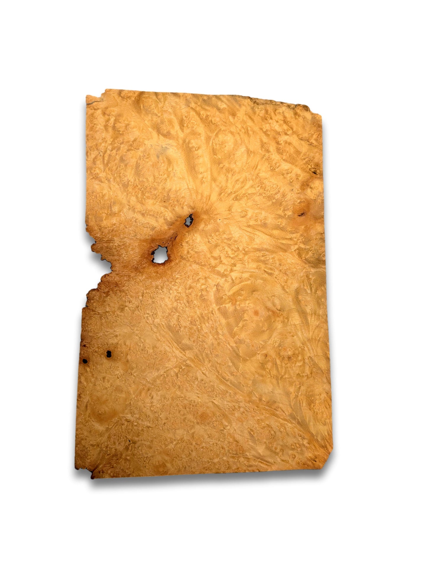 Madrona (goud) wortelfineer | 31x20 cm