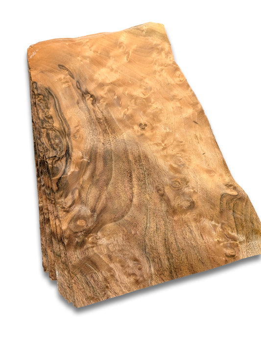 Walnoot wortelfineer | 30 vel | 32x18 cm