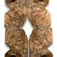 Placage de Ronce de noyer | 24 feuilles | 32x18 cm