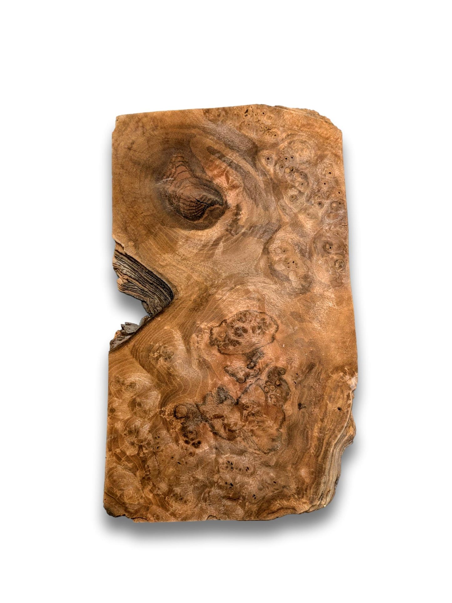 Placage de Ronce de noyer | 24 feuilles | 32x18 cm