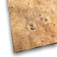 Placage loupe d'orme | 33x19cm