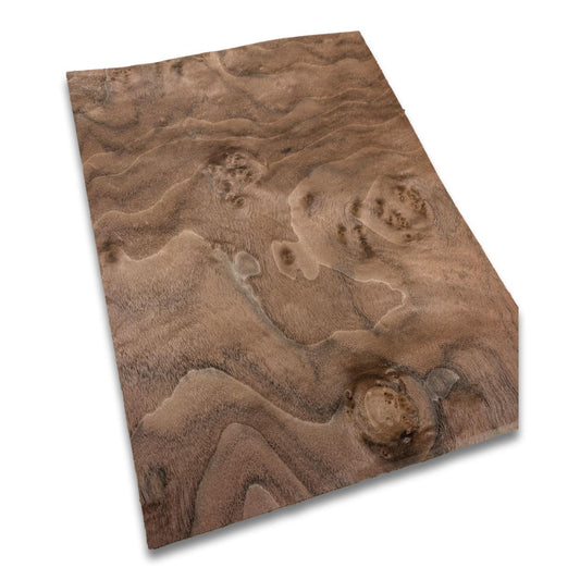 Walnoot wortelfineer | 35x25 cm