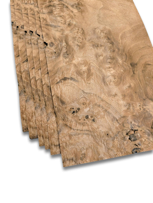 Walnoot wortelfineer | 6 vellen | 36x21 cm