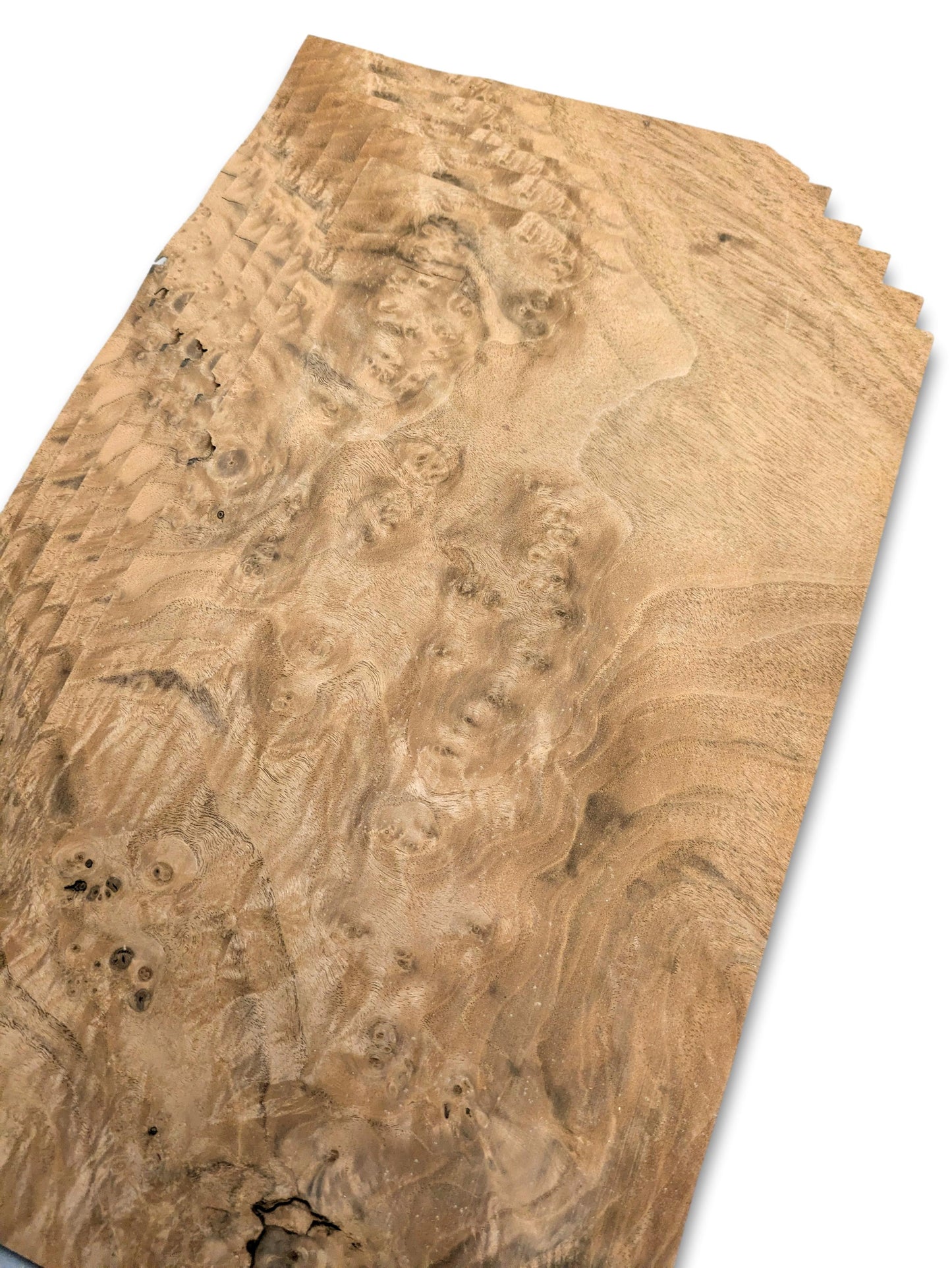 Walnoot wortelfineer | 6 vellen | 36x21 cm