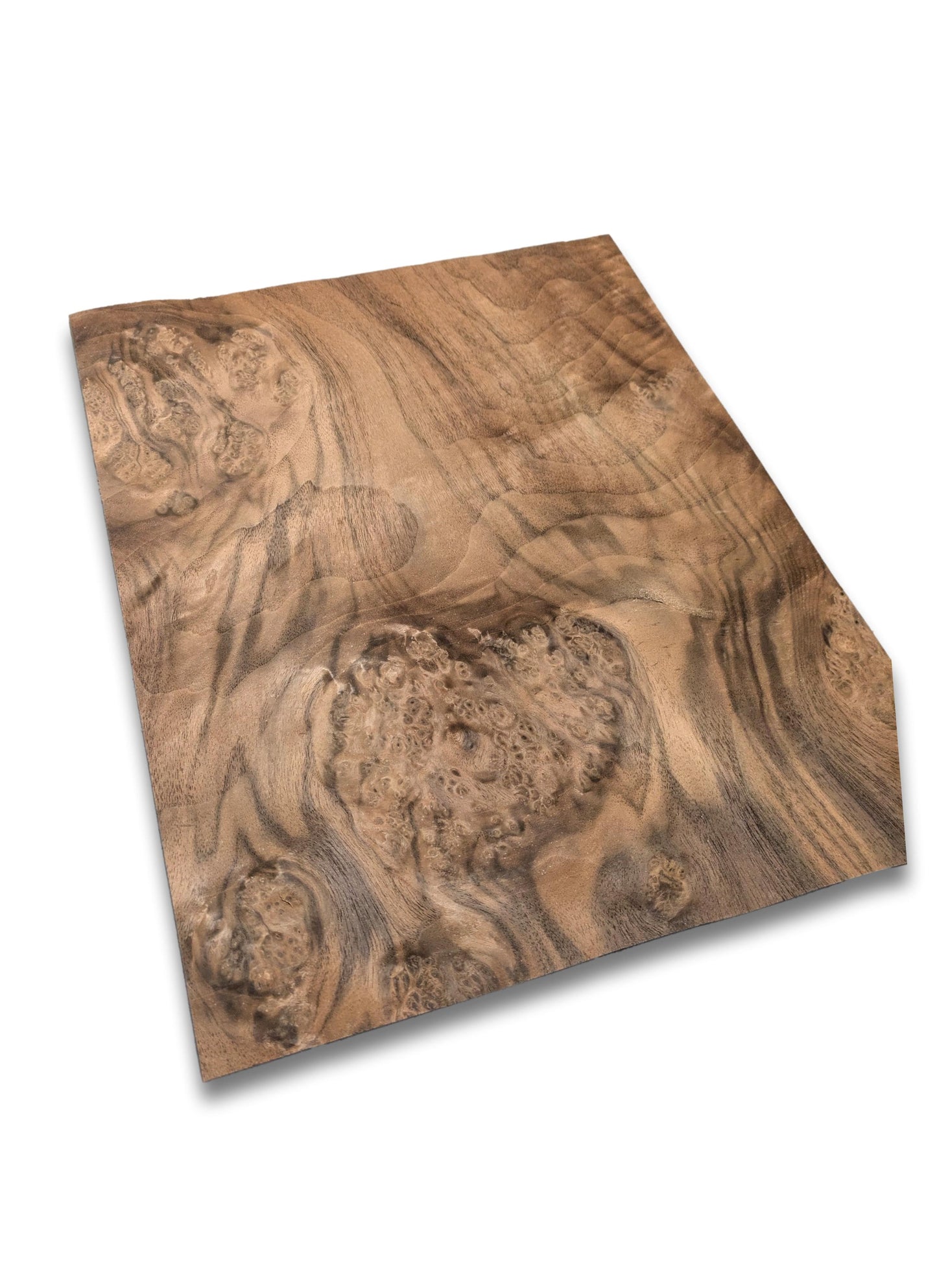 Placage de ronce de noyer | 36 x 29 cm