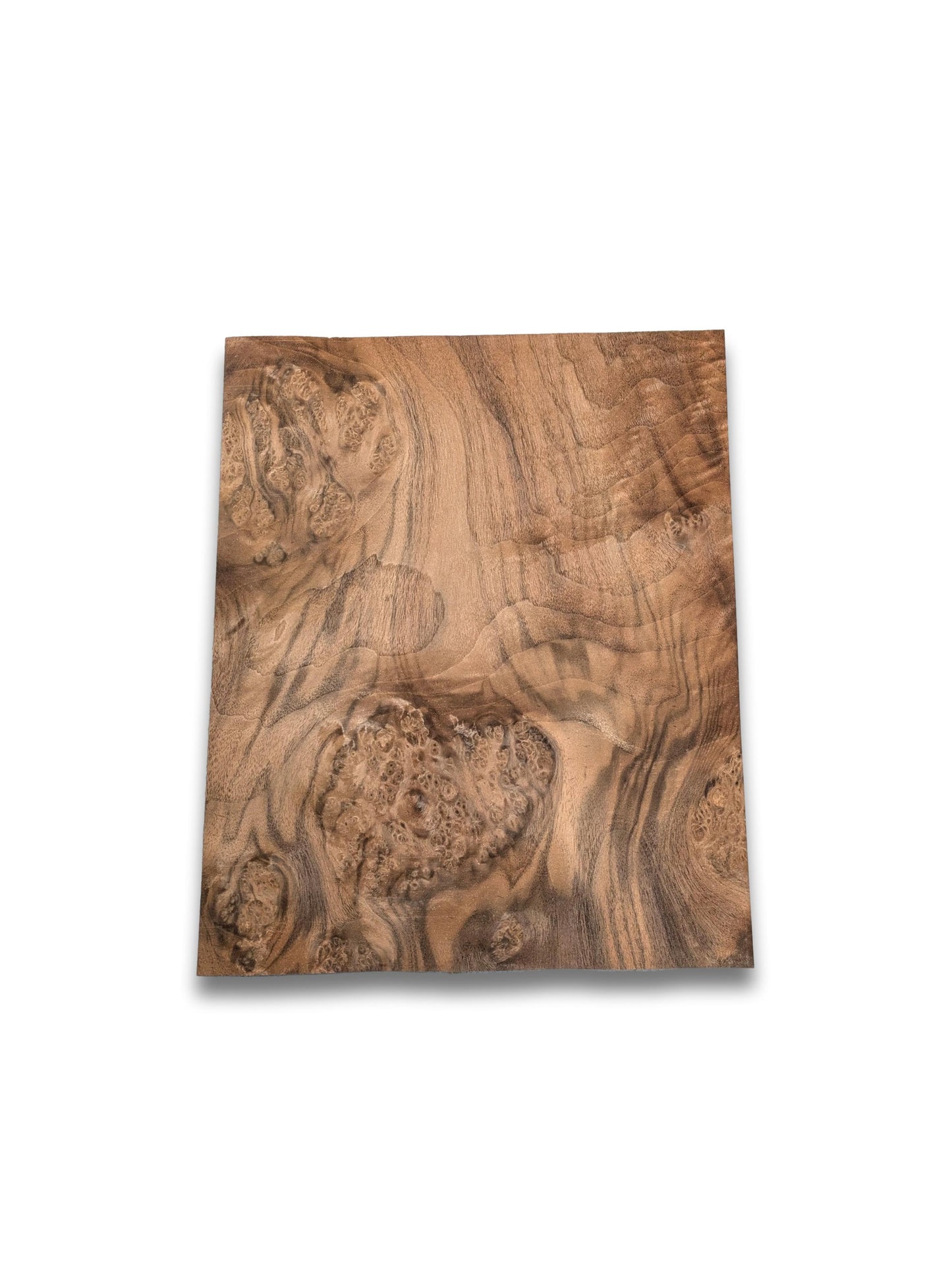 Placage de ronce de noyer | 36 x 29 cm