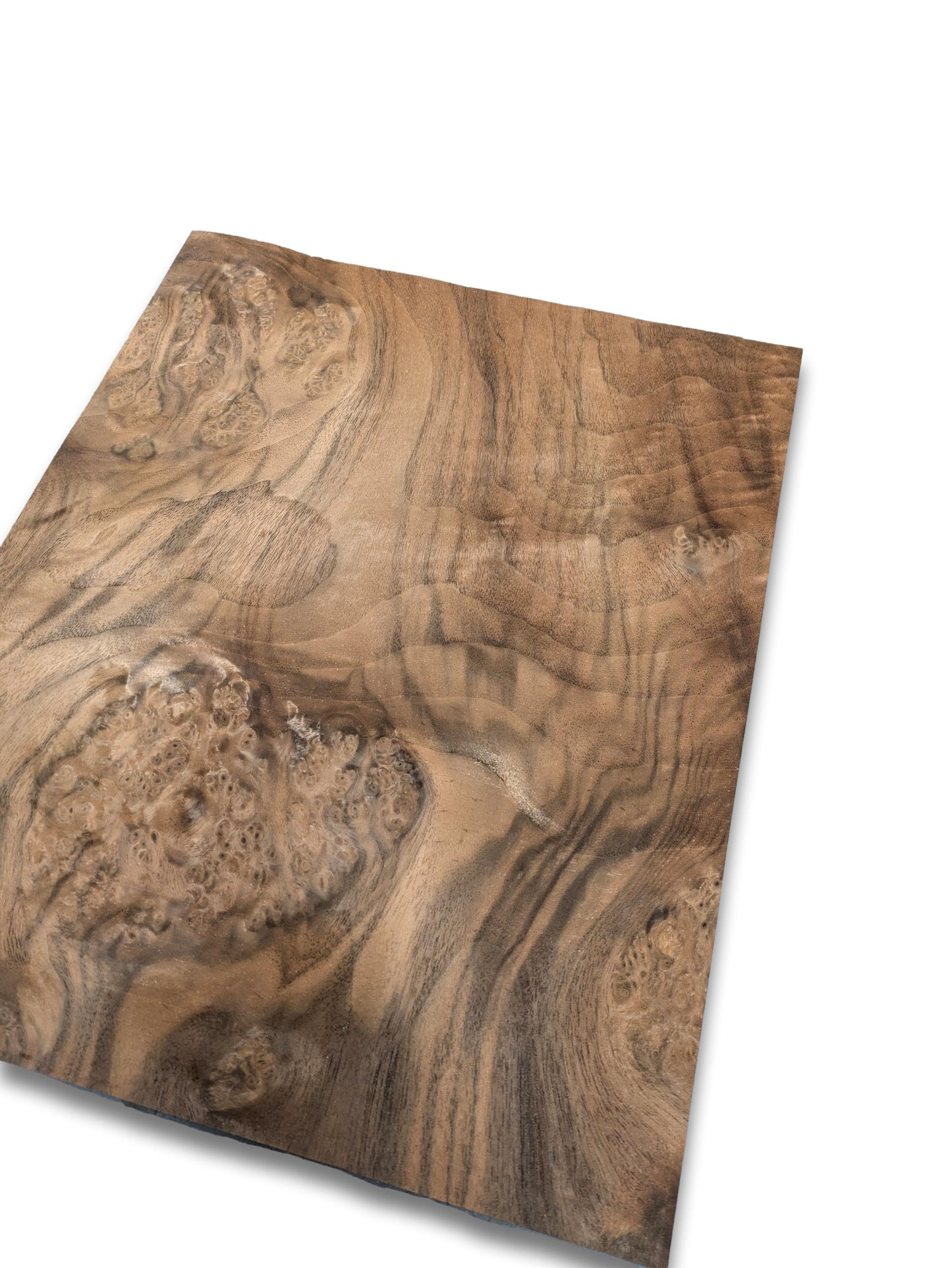 Placage de ronce de noyer | 36 x 29 cm