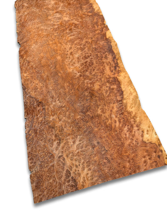 Amboyna wortelfineer | 40x17 cm