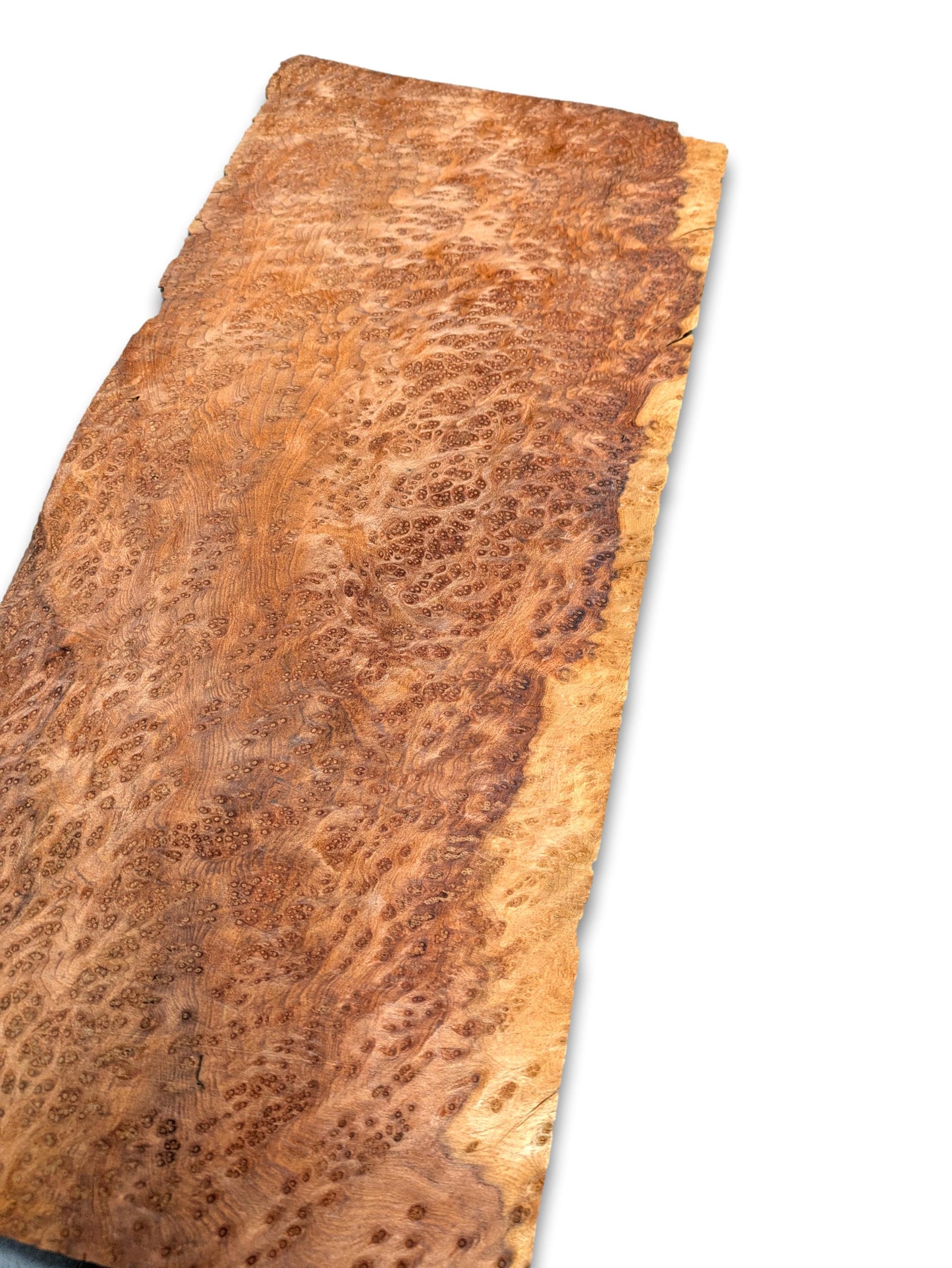 Placage de Loupe de Amboyna | 40x17 cm