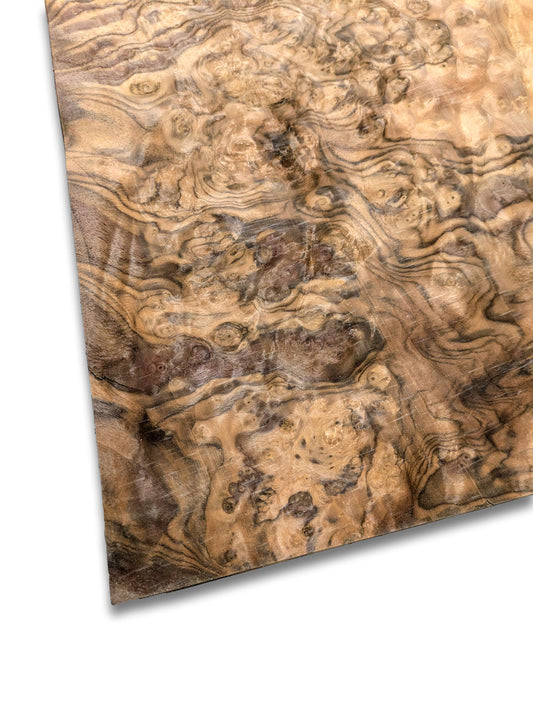 Walnoot wortelfineer | 45x33 cm