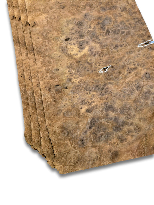 Walnoot wortelfineer | 4 vellen | 46x24 cm