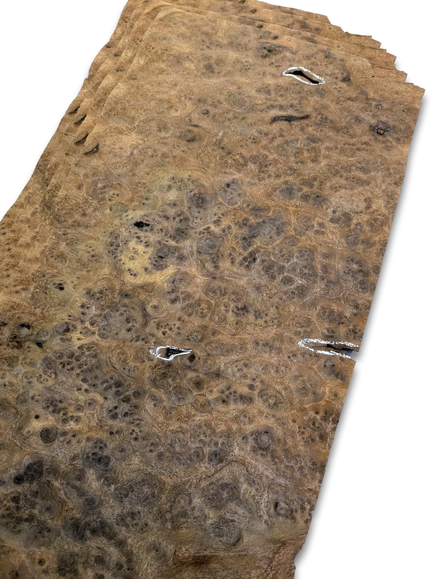 Walnoot wortelfineer | 4 vellen | 46x24 cm