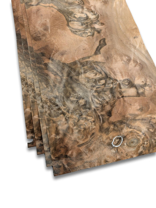 Walnoot wortelfineer | 4 vellen | 47x23 cm