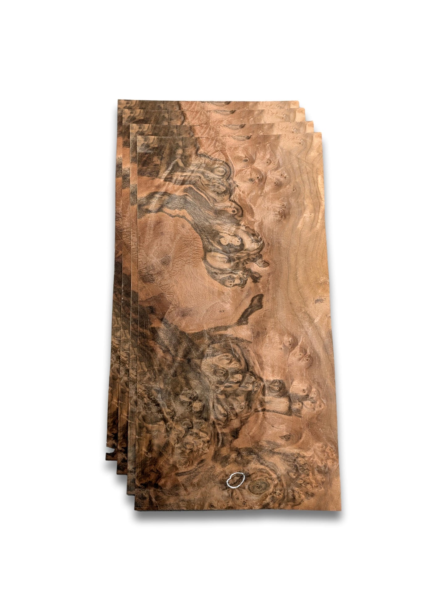 Walnoot wortelfineer | 4 vellen | 47x23 cm