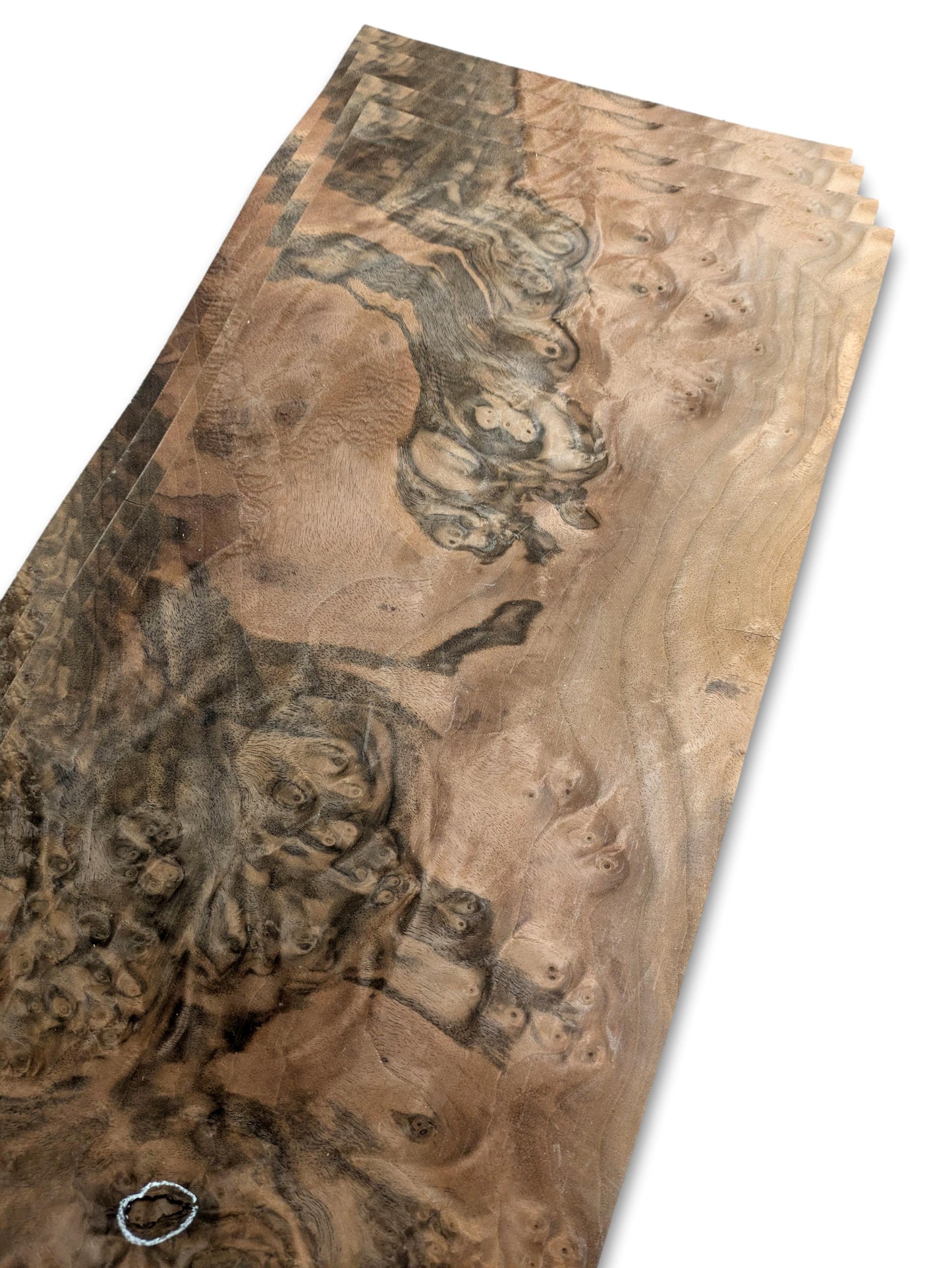 Walnoot wortelfineer | 4 vellen | 47x23 cm